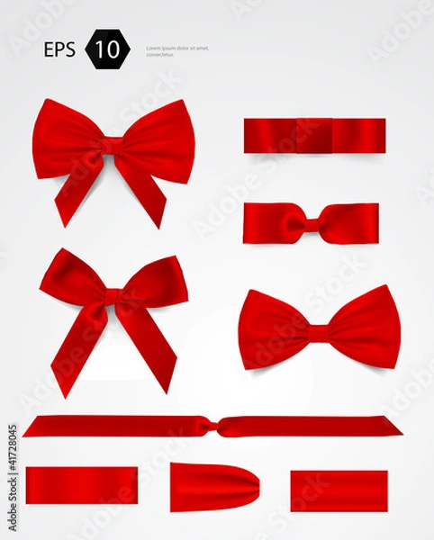 Obraz Kolekcja łuków wektorowych