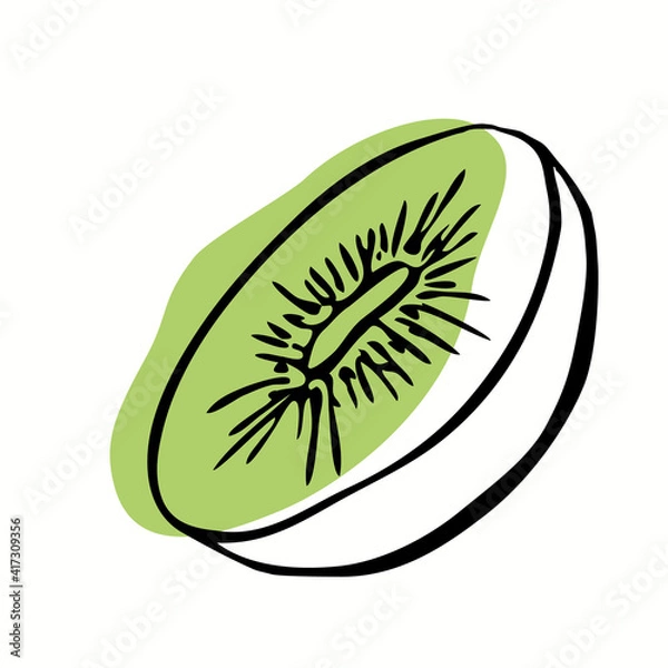 Fototapeta a single vector illustration of a kiwi. Lines art kiwi fruit