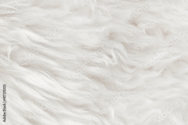 Fototapeta Natural animal white wool seamless texture background. light sheep wool. texture of fluffy fur for designers. close-up fragment white beige wool carpet