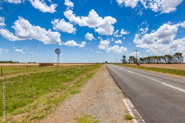 Fototapeta The R710 between Welkom and Bultfontein, South Africa
