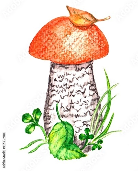 Obraz watercolor drawing boletus, element, mushroom