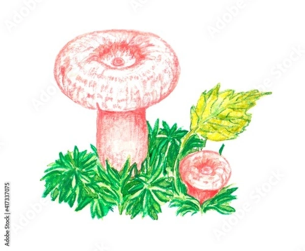 Obraz watercolor drawing, element, mushroom