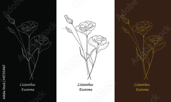 Fototapeta Set with single flowers of lisianthus. Botanical flower lisianthus. Vector illustration.