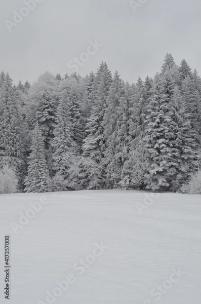 Obraz Verschneite Bäume