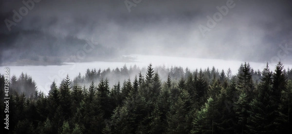 Obraz Fog rolling over Loch Tulla and coniferous forest in Scottish Highlands.Dark and moody landscape scenery.Scotland on a gloomy day.