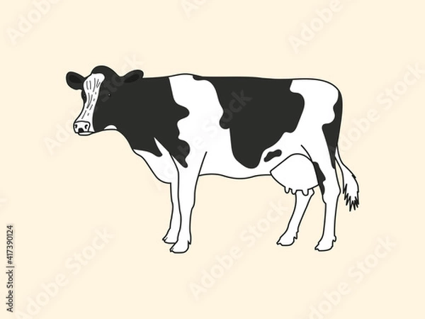 Obraz Realistic drawn cow on a light background