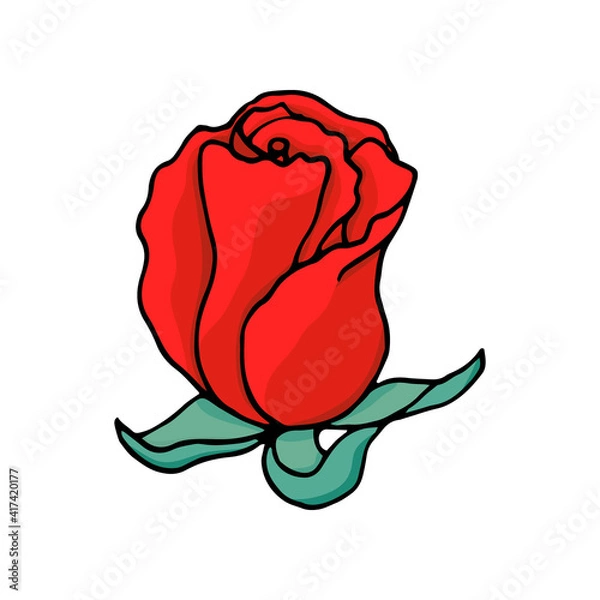 Fototapeta A bud of a red rose. Design element for greeting card. Hand drawing. Vector illustration in a cartoon style.