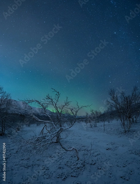 Obraz Aurora Borealis