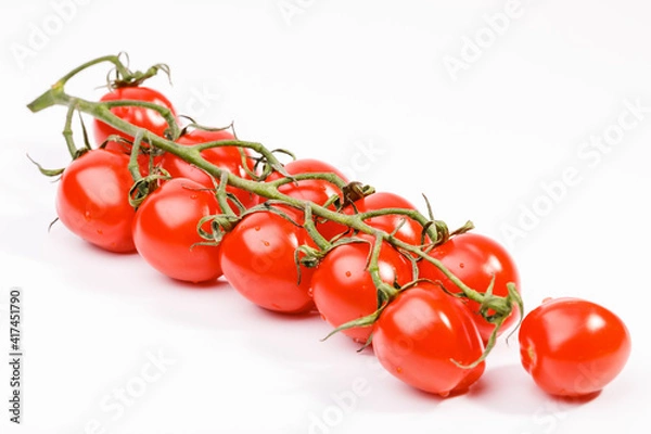 Fototapeta Branch of tomatoes on a white background