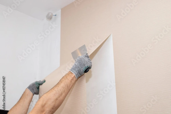 Fototapeta worker hand tear off old light wallpaper with scraper from wall.Repair in the apartment, removing the old wallpaper with a spatula, the process of updating the wall room repair. copy space