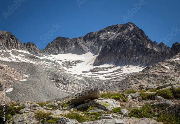 Obraz Top of a mountain with snow and a glacier on a meadow with grass and rocks