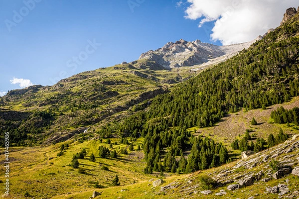 Obraz Beautiful postcard of a green valley with forests, high mountains and large meadows in summertime
