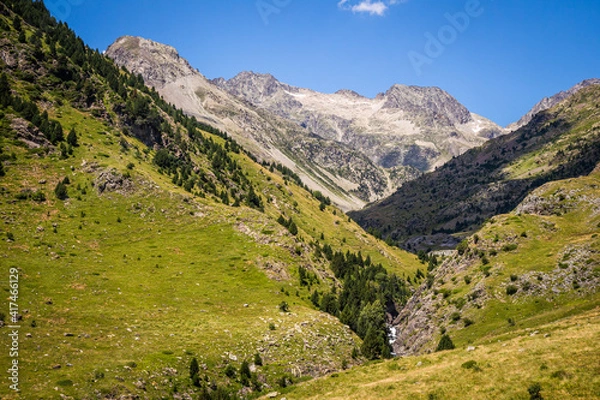 Obraz Beautiful valley with green meadows, a river and trees, surrounded by high mountains