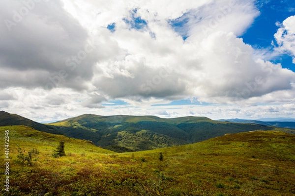 Fototapeta Bukowe Berdo path in Bieszczady