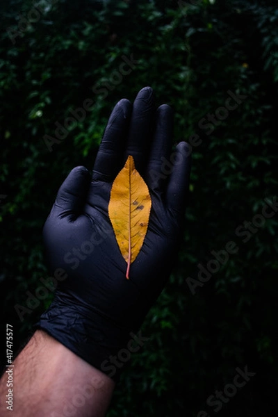 Obraz otoño coronavirus