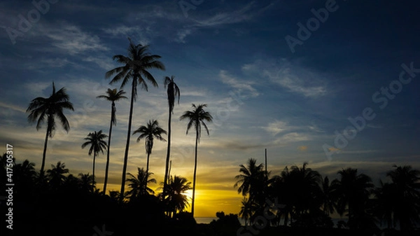 Obraz palm trees at sunset