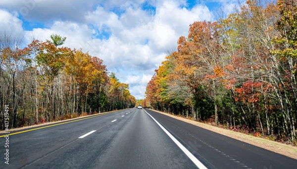 Fototapeta Straight flat highway lined with autumnal scenic maple trees in Massachusetts