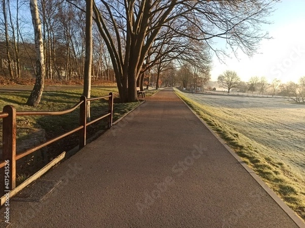 Obraz road to the park