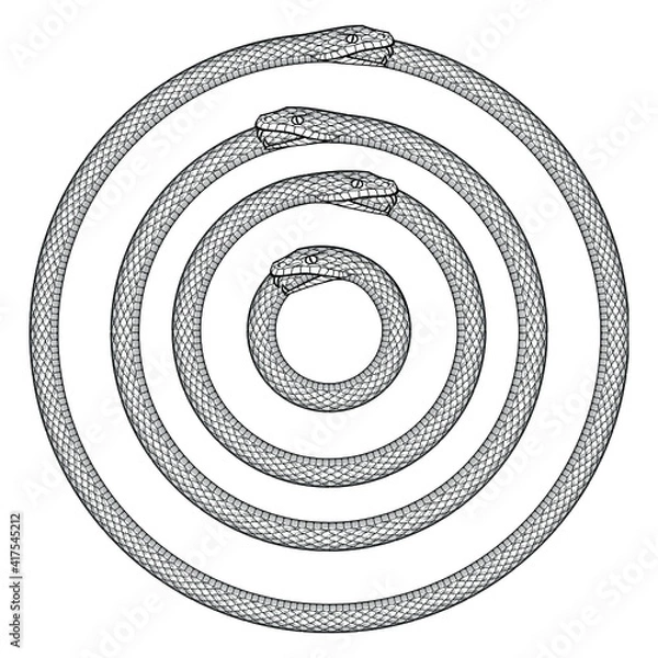 Obraz Four Ouroboros in four different sizes 