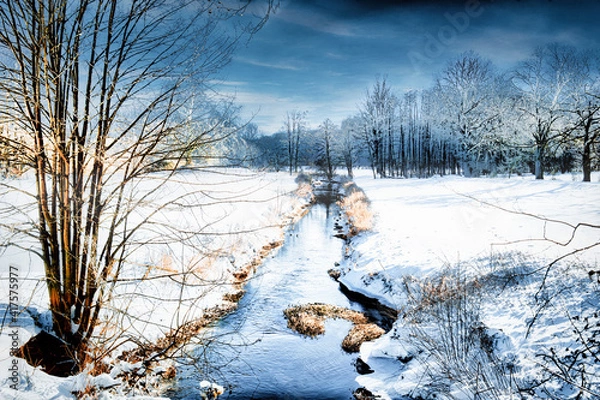 Obraz Bach im Winter