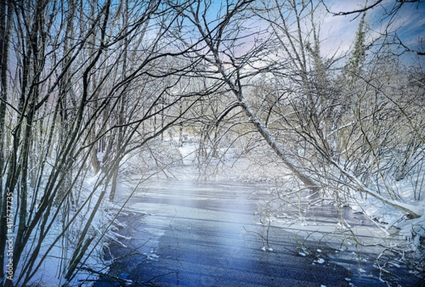 Obraz Bach im Winter