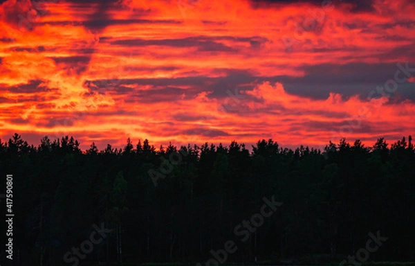 Fototapeta Red sunset with clouds over dark forest