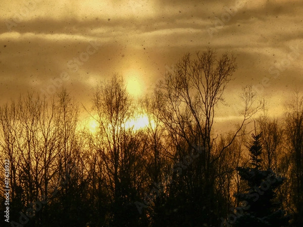 Fototapeta snowfall during sunset