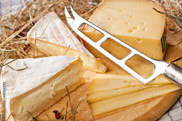 Obraz Käseplatte