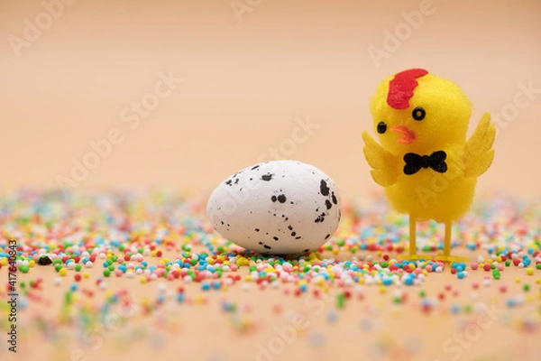 Fototapeta yellow baby chick close up singing loudly. orange happy easter background