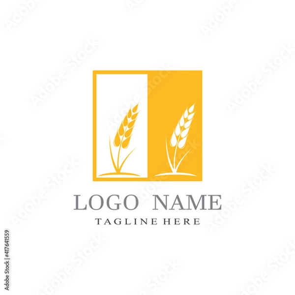 Fototapeta Agriculture wheat vector icon design