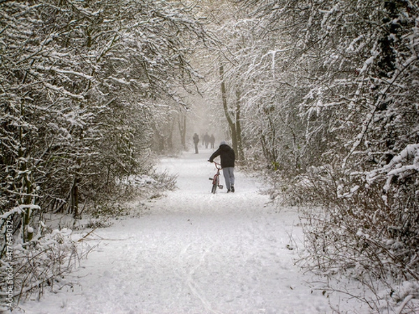 Obraz walking in the snow