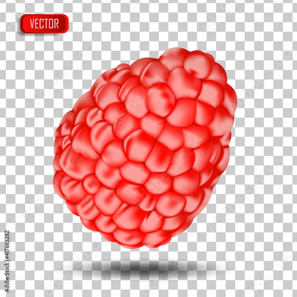 Fototapeta Appetizing fresh raspberries isolated on a transparent background. Realistic vector illustration