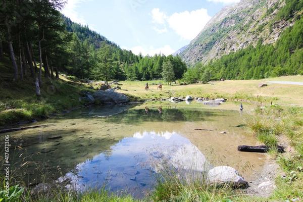 Obraz Landscape in Germany