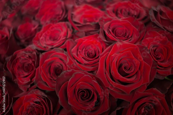 Obraz Red flowers. romantic background