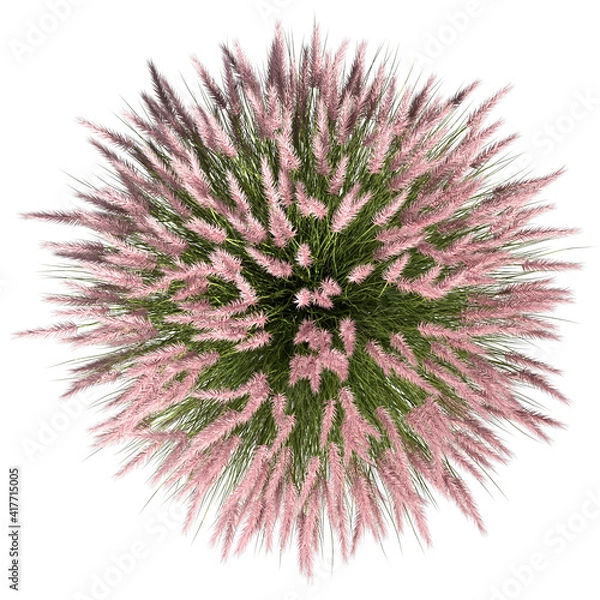 Fototapeta VEGETATION TOP VIEW - TREES AND BUSHES IN PLAN