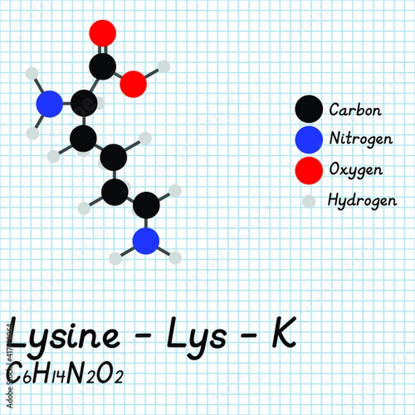 Fototapeta Lysine - Lys - K - Amino Acid molecular formula and chemical structure. 2D Ball and stick model on school paper sheet background. EPS10
