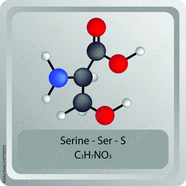 Fototapeta Serine - Ser - S - Amino Acid chemical structure. Molecular formula ball and stick model of Histidine Molecule. Biochemistry class, Biological and Chemical vector illustration. EPS10