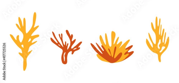 Fototapeta Coral set. Simple hand drawn sea element. Vector illustration