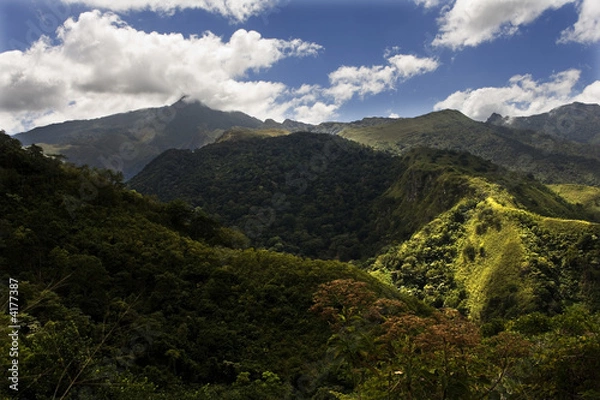 Obraz mountains, hills, meadow