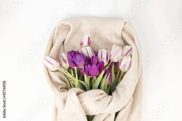 Fototapeta Tulips are lying on a white sweater. Spring. March 8.