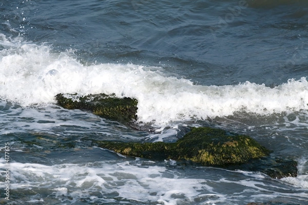 Fototapeta Black sea with cliffs