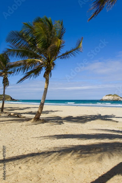 Obraz Beach on island Margarita, Venezuela