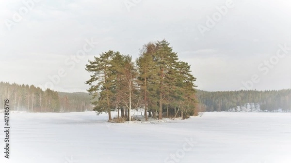 Obraz The island of trees