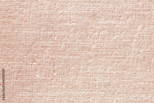 Obraz Natural texture background.