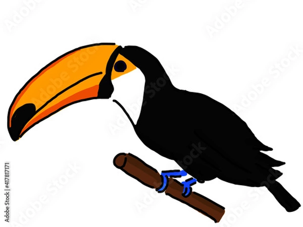 Fototapeta オニオオハシ