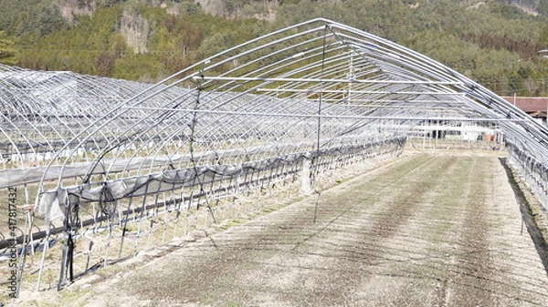 Obraz ビニールハウス