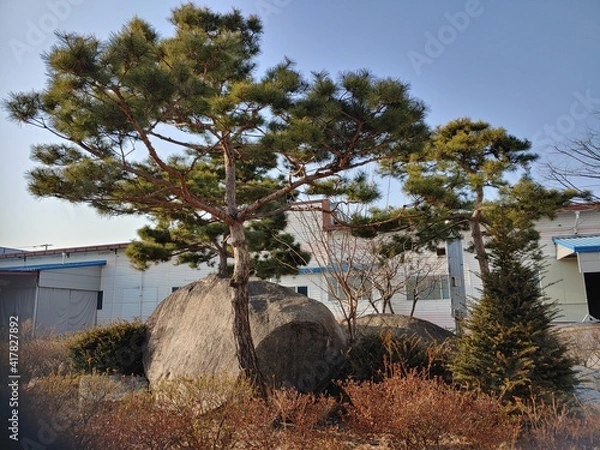 Obraz 아름다운 정원