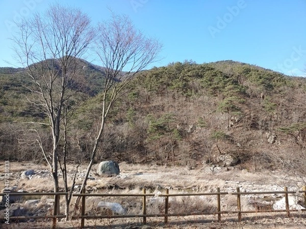 Obraz 저푸른 초원위에