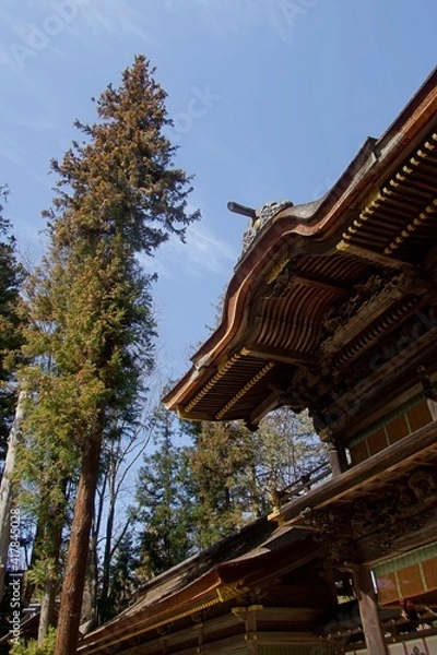 Obraz 神社のある風景