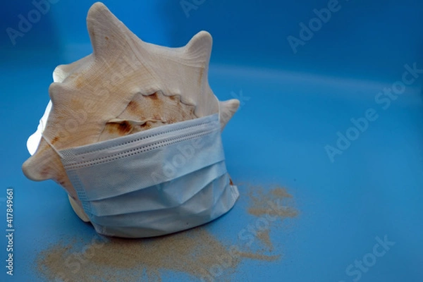 Obraz white seashell with a op-mask